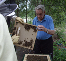 Olle J, en erfaren biodlare hjälper några elever att borsta bort snälla bin